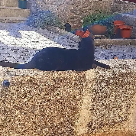 Solar De Miragaia